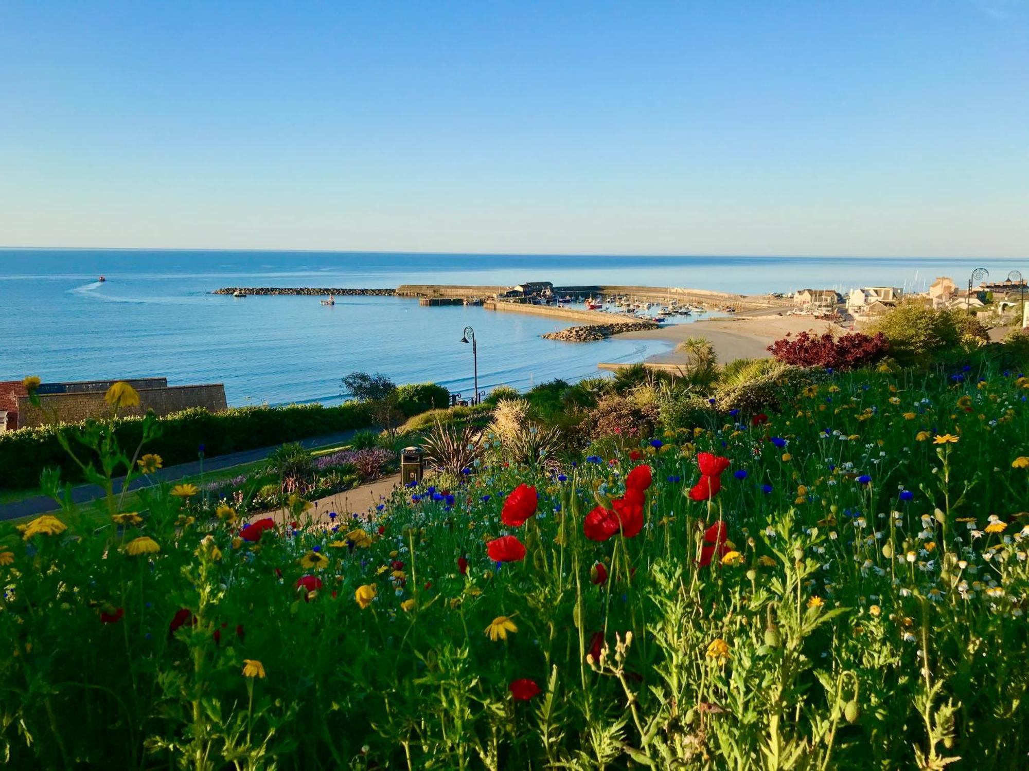Lyme Regis Renovated Period Seaside Flat Daire Dış mekan fotoğraf
